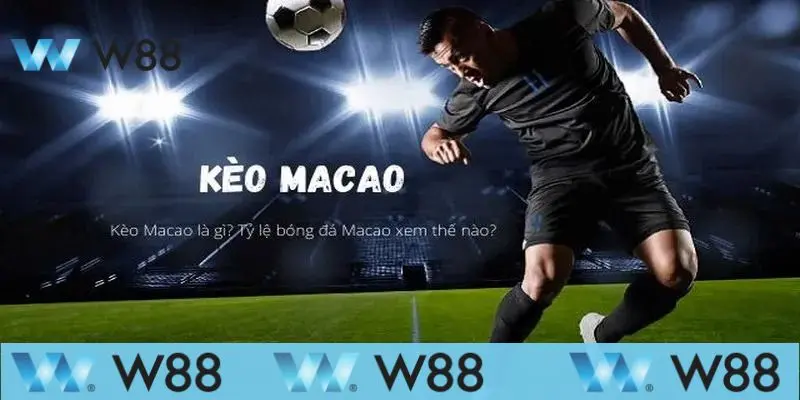 Thông tin tìm hiểu về kèo Macao