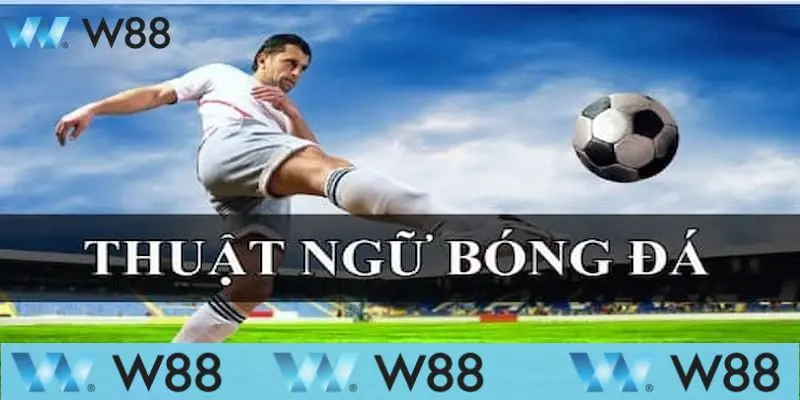 Thuật ngữ cá độ bóng đá được dùng nhiều nhất